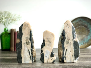 "Rorschach" 1888 Design Storied Sculpture