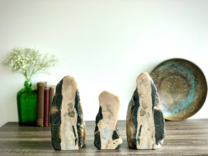 "Rorschach" 1888 Design Storied Sculpture